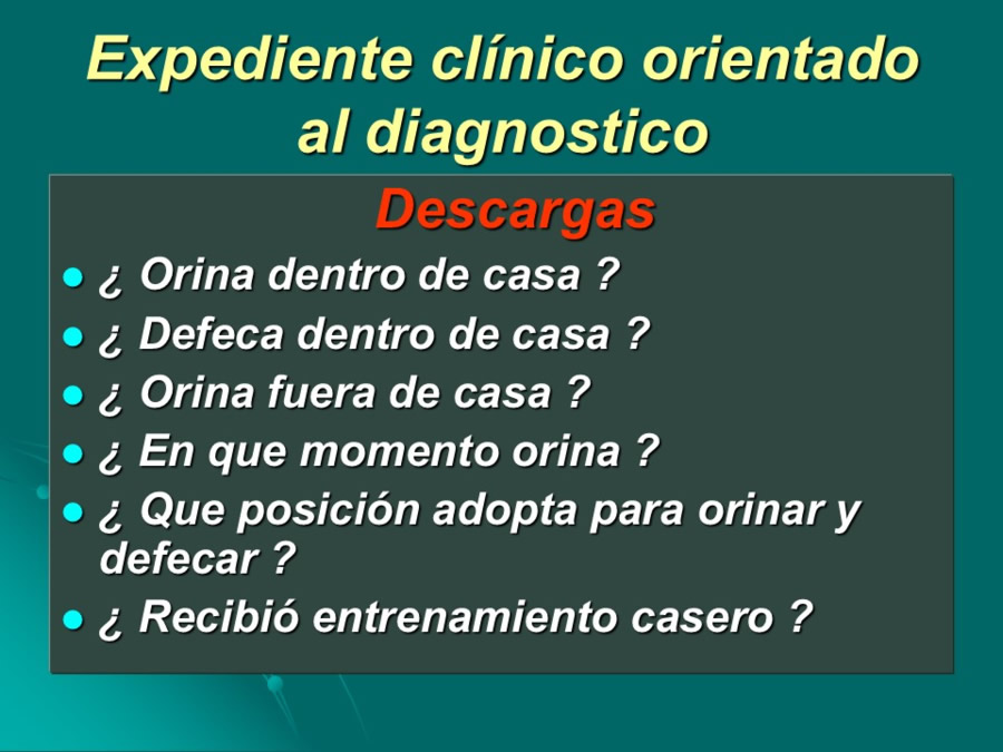 Desarrollo conductual en cachorros