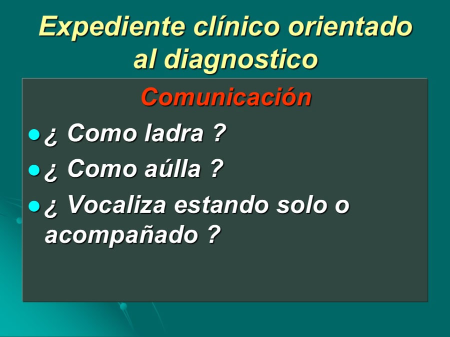 Desarrollo conductual en cachorros