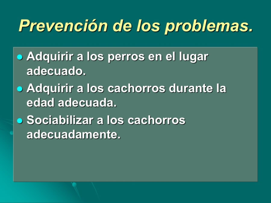 Desarrollo conductual en cachorros