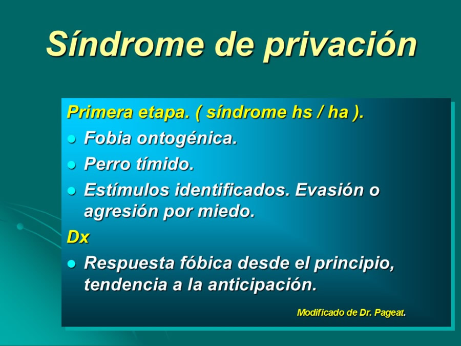 Desarrollo conductual en cachorros