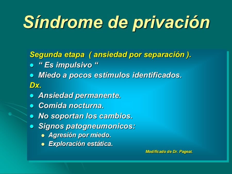 Desarrollo conductual en cachorros