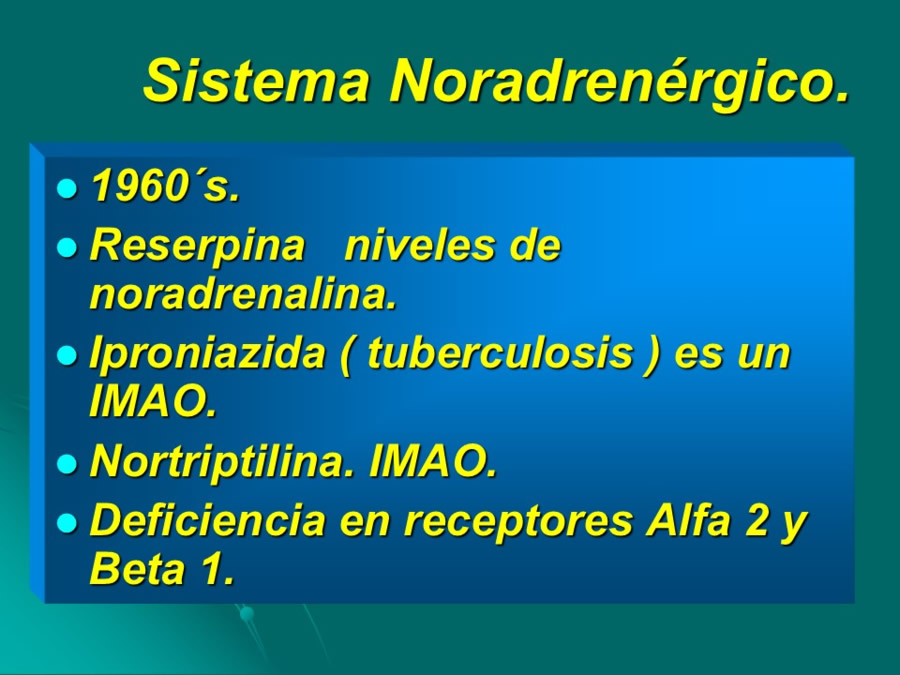 Desarrollo conductual en cachorros