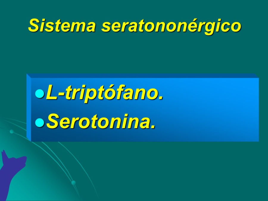 Desarrollo conductual en cachorros