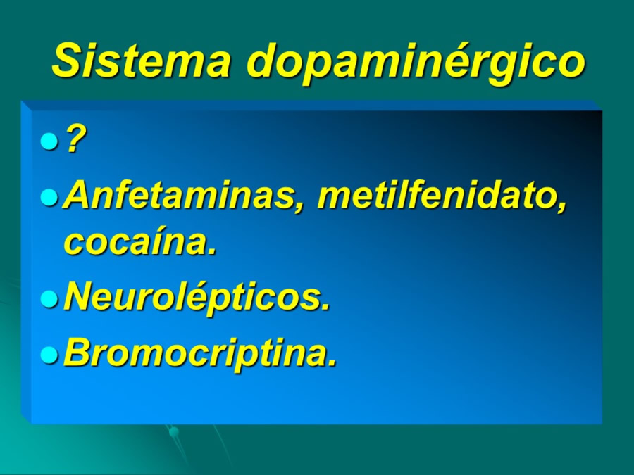 Desarrollo conductual en cachorros