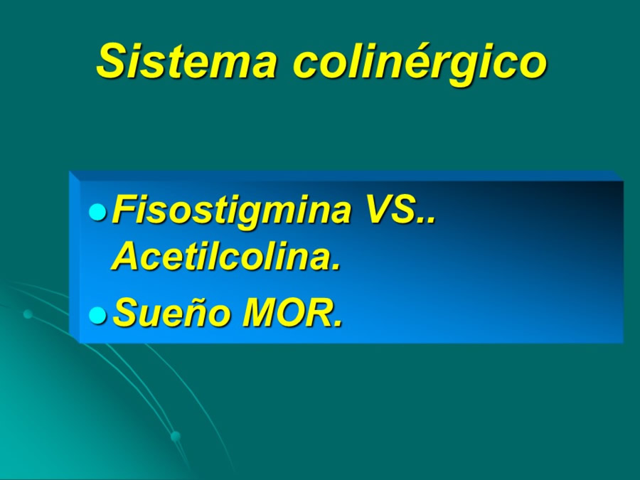 Desarrollo conductual en cachorros