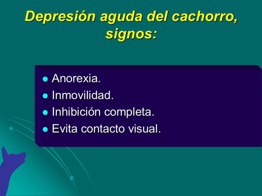 Desarrollo conductual en cachorros