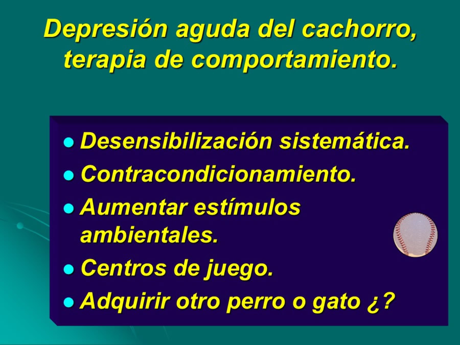 Desarrollo conductual en cachorros