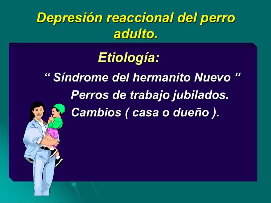 Desarrollo conductual en cachorros