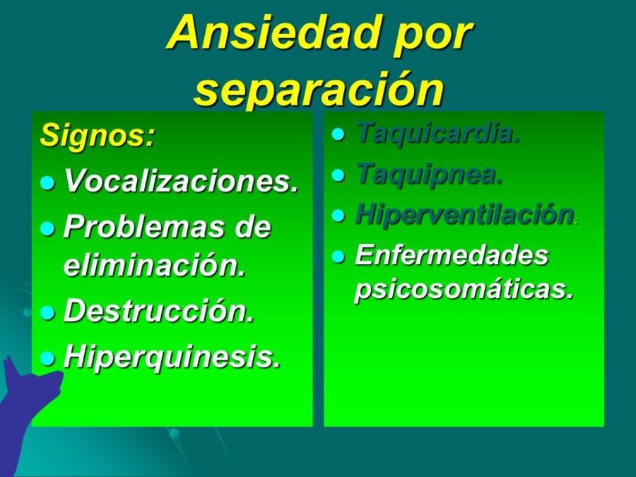 Desarrollo conductual en cachorros