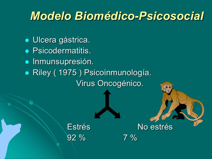 Desarrollo conductual en cachorros