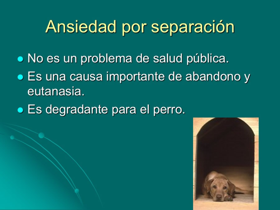 Desarrollo conductual en cachorros