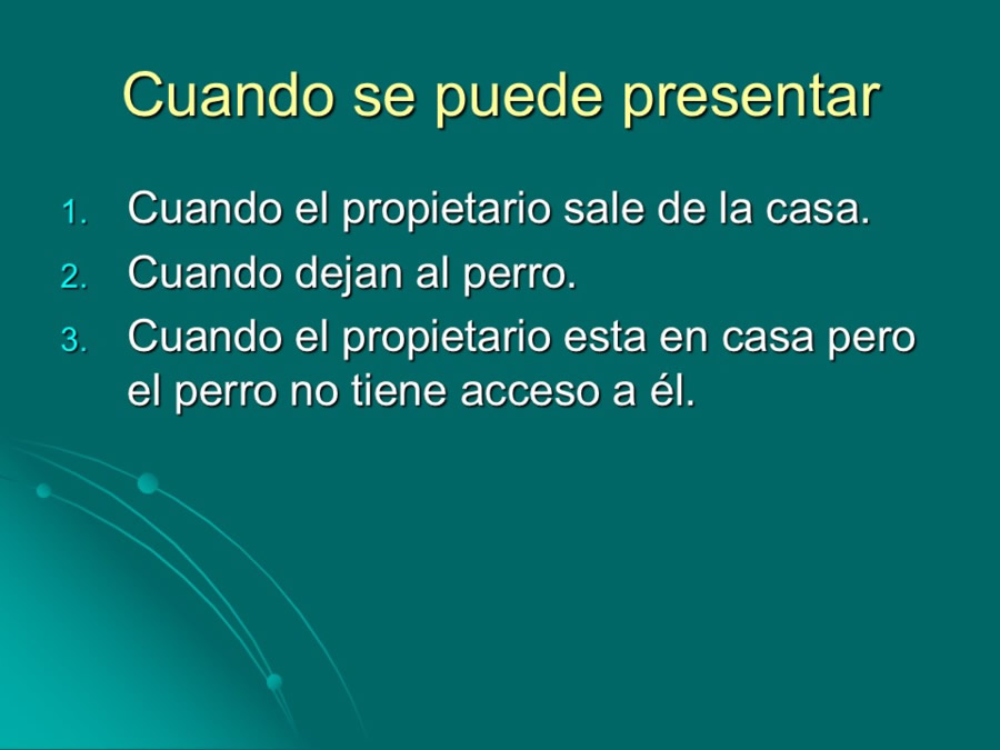 Desarrollo conductual en cachorros