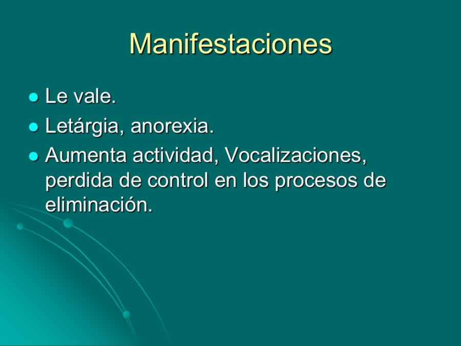 Desarrollo conductual en cachorros