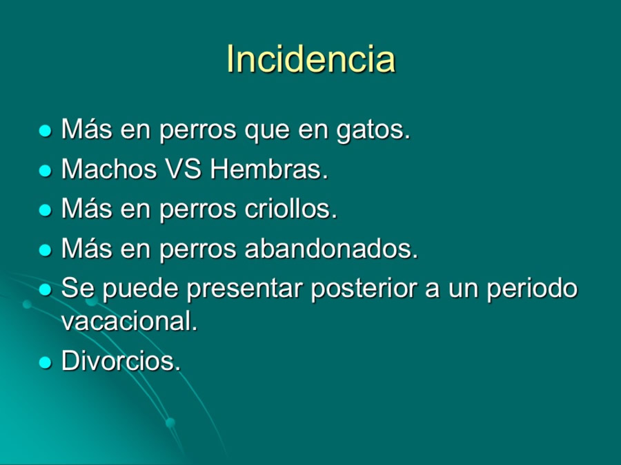 Desarrollo conductual en cachorros