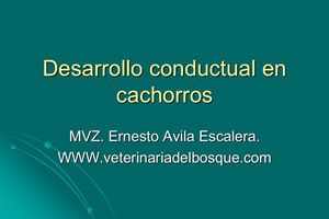 Desarrollo conductual en cachorros