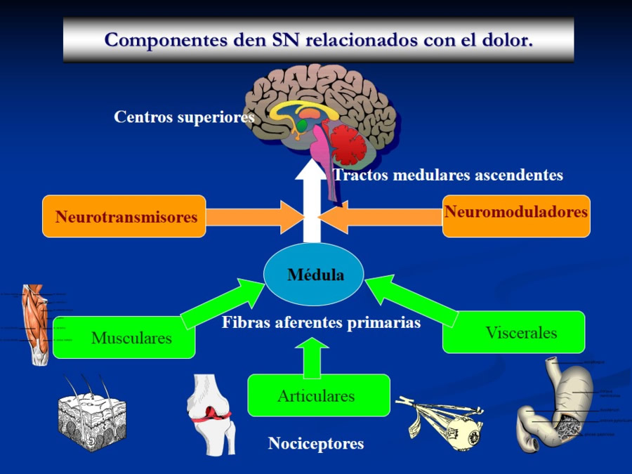 Enfermedades sistmicas