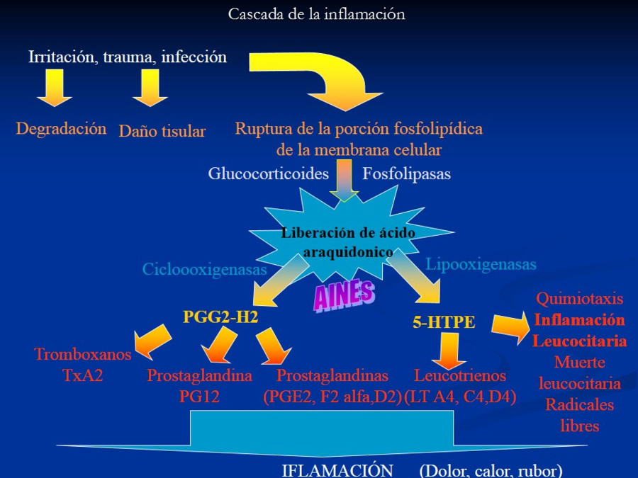 Enfermedades sistmicas