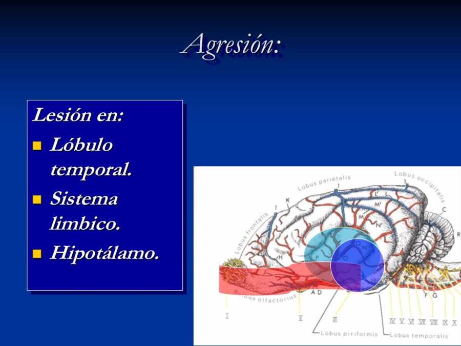 Enfermedades sistmicas