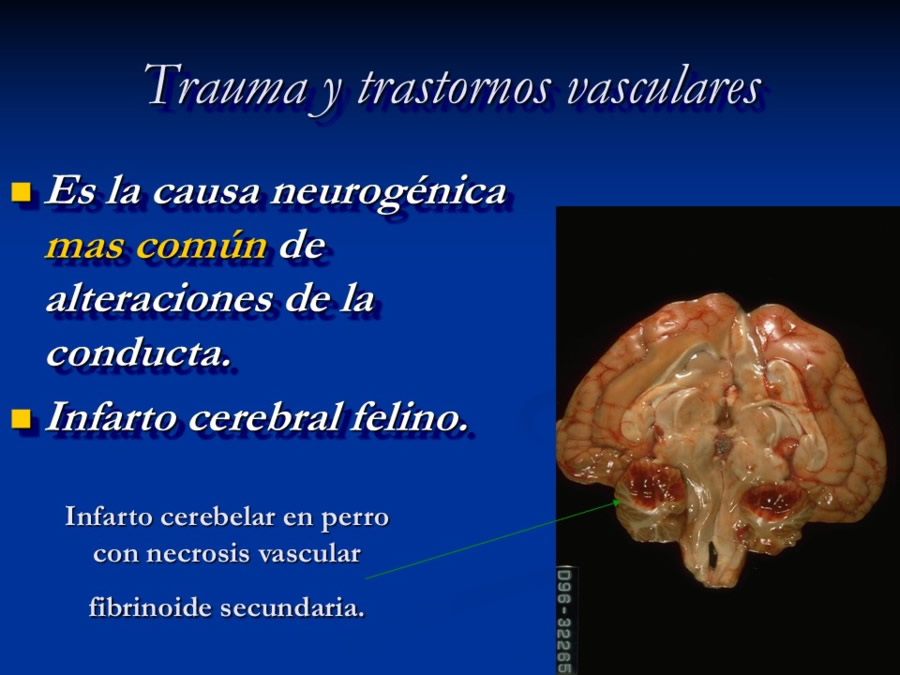 Enfermedades sistmicas