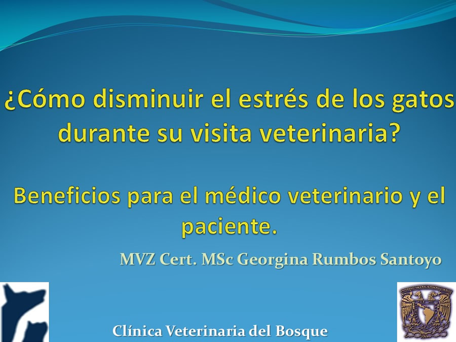 Cmo disminuir el estrs de los gatos durante su visita veterinaria?