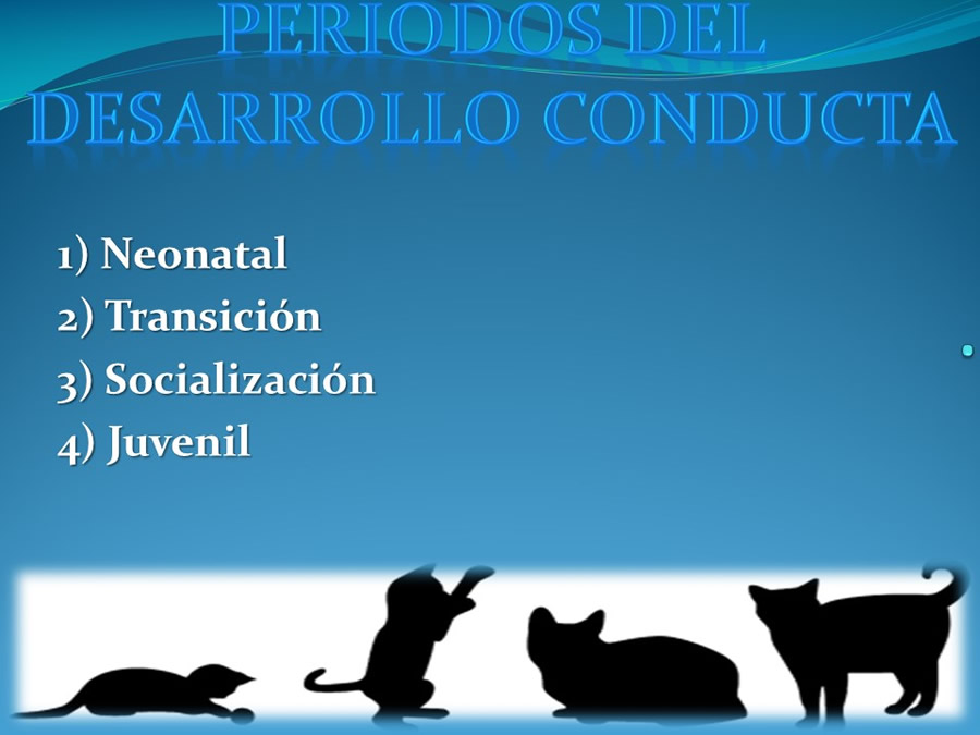 Cmo disminuir el estrs de los gatos durante su visita veterinaria?