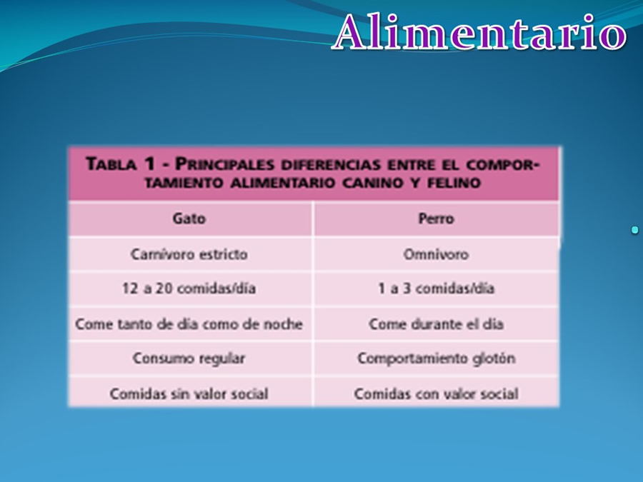 Cmo disminuir el estrs de los gatos durante su visita veterinaria?