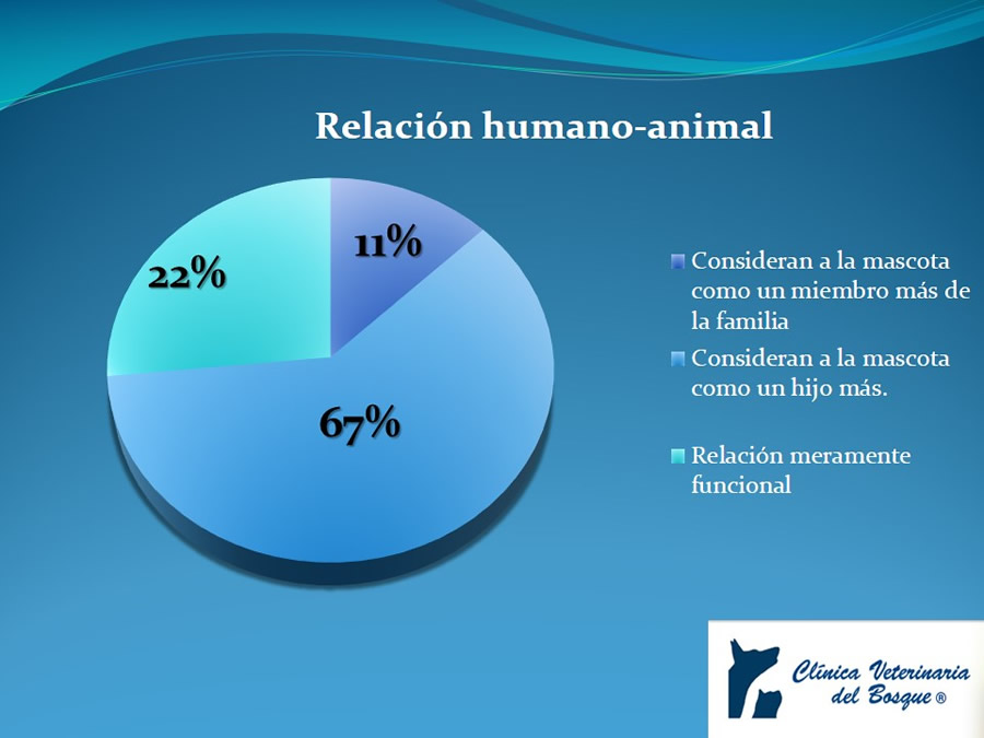 Cmo disminuir el estrs de los gatos durante su visita veterinaria?