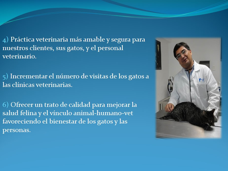 Cmo disminuir el estrs de los gatos durante su visita veterinaria?