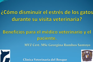 Cmo disminuir el estrs de los gatos durante su visita veterinaria?