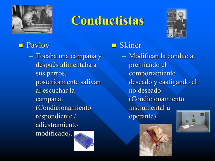 Introduccin a la medicina del comportamiento