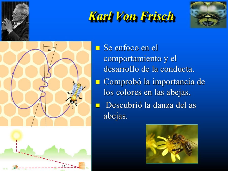 Introduccin a la medicina del comportamiento