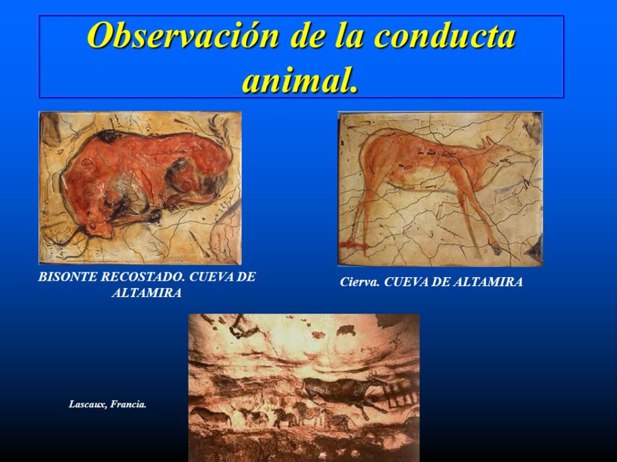 Introduccin a la medicina del comportamiento