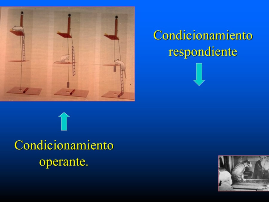 Introduccin a la medicina del comportamiento