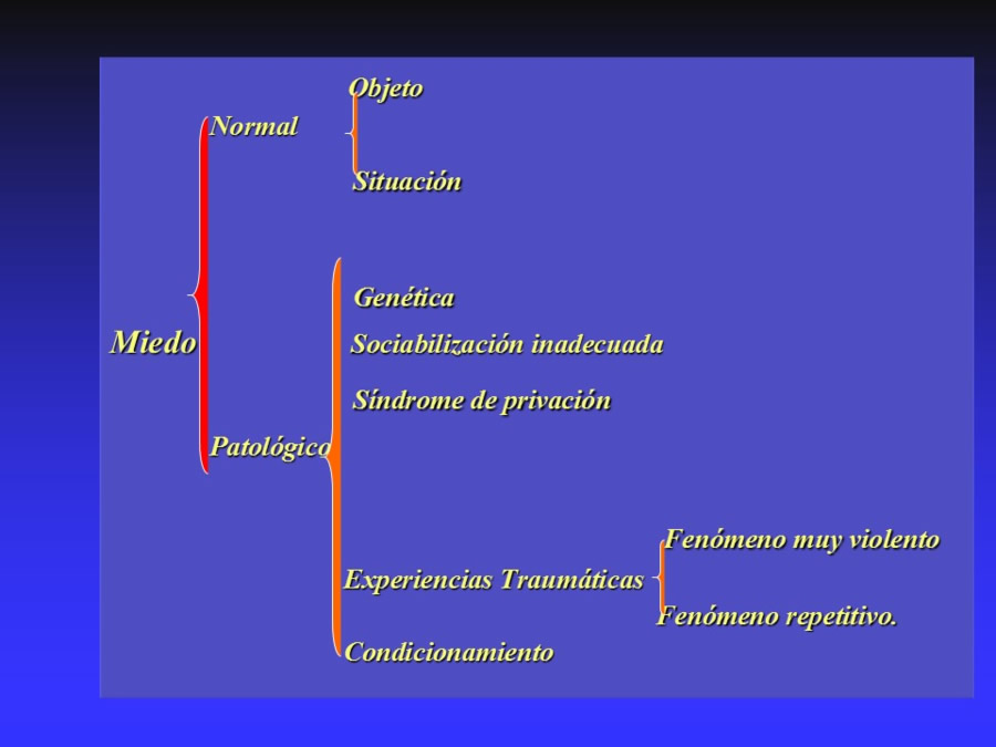 Modelo biomdico-psicosocial