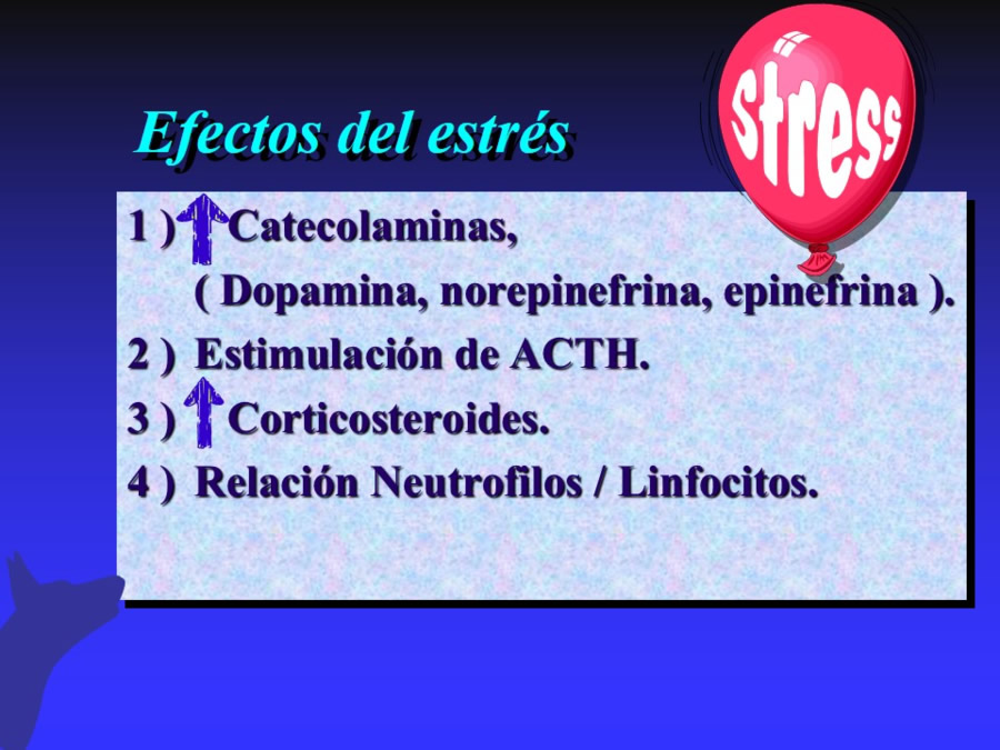 Modelo biomdico-psicosocial