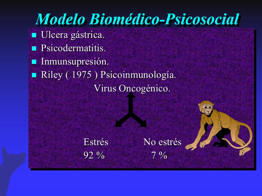 Modelo biomdico-psicosocial