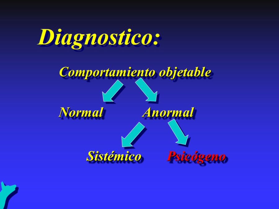 Modelo biomdico-psicosocial