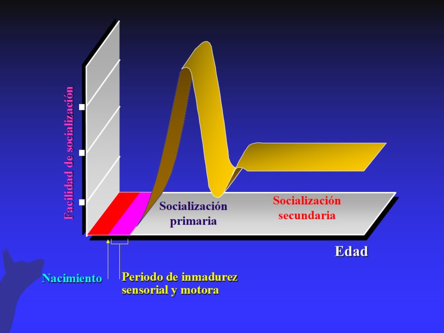 Modelo biomdico-psicosocial