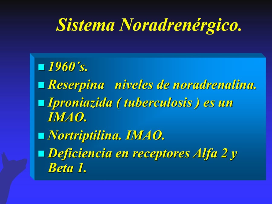 Modelo biomdico-psicosocial