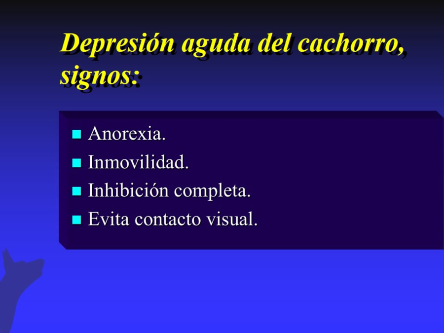 Modelo biomdico-psicosocial