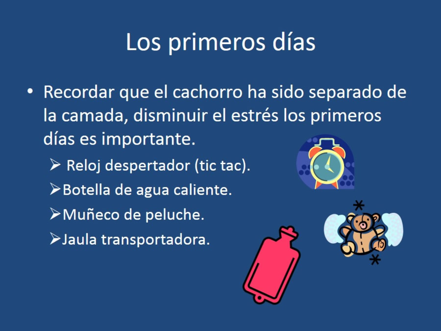 Adaptacin, educacin y prevencin de los problemas conductuales en cachorros