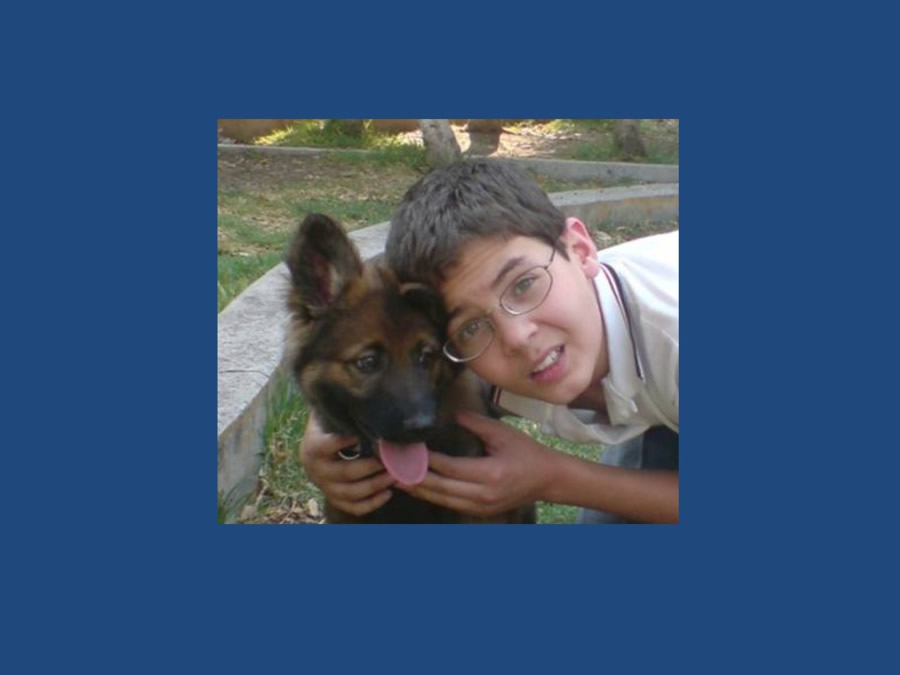 Adaptacin, educacin y prevencin de los problemas conductuales en cachorros