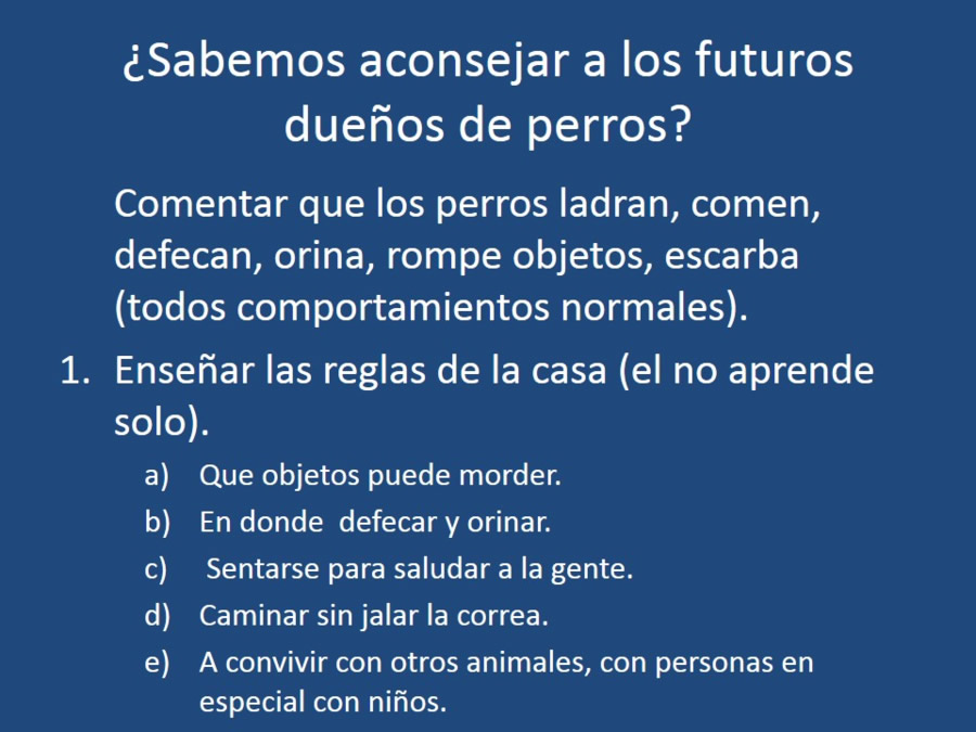 Adaptacin, educacin y prevencin de los problemas conductuales en cachorros