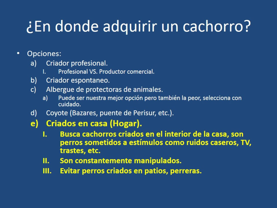 Adaptacin, educacin y prevencin de los problemas conductuales en cachorros