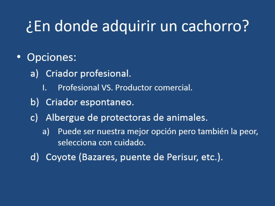 Adaptacin, educacin y prevencin de los problemas conductuales en cachorros