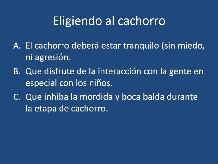Adaptacin, educacin y prevencin de los problemas conductuales en cachorros