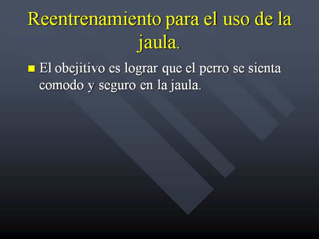 Problemas relacionados a la actividad