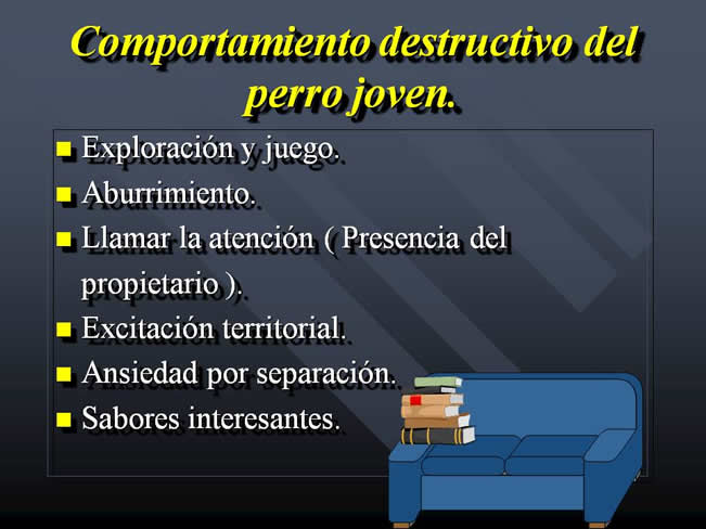 Problemas relacionados a la actividad