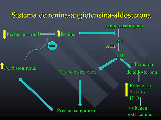 Problemas relacionados a la actividad