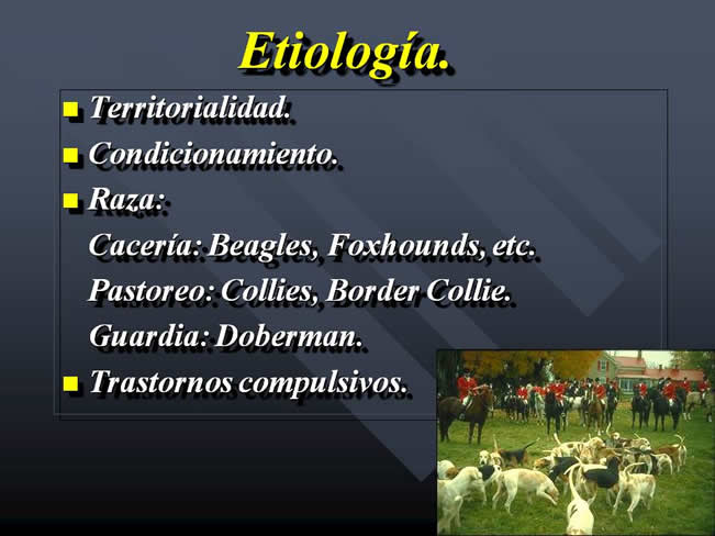 Problemas relacionados a la actividad